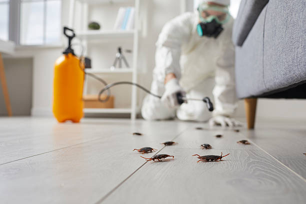 Commercial Rodent Management in Breckenridge Hills